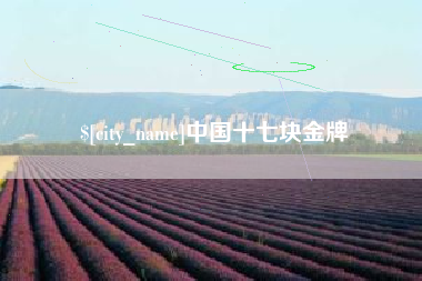 临海中国十七块金牌