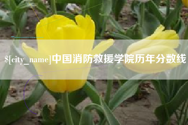 临海中国消防救援学院历年分数线