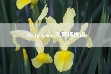 临海九宫格优点