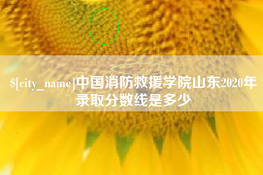 临海中国消防救援学院山东2020年录取分数线是多少