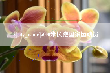 临海5000米长跑国家运动员