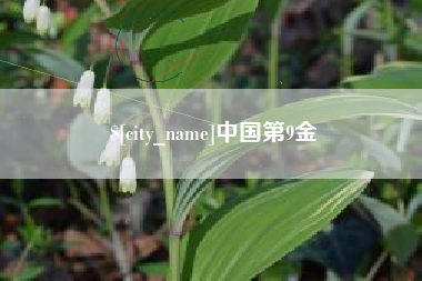 临海中国第9金