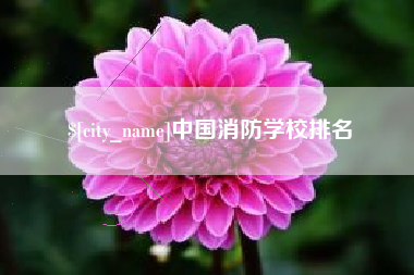 临海中国消防学校排名