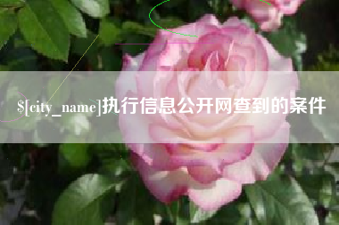 临海执行信息公开网查到的案件