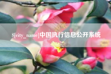 临海中国执行信息公开系统