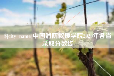 临海中国消防救援学院2020年各省录取分数线