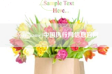 临海中国执行网信息官网