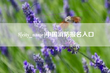 临海中国消防报名入口