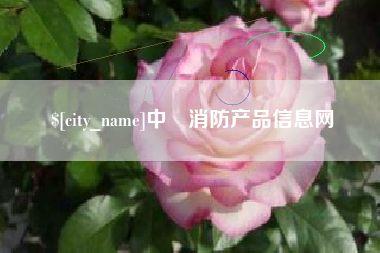 临海中囯消防产品信息网
