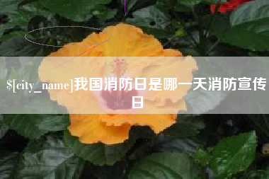 临海我国消防日是哪一天消防宣传日