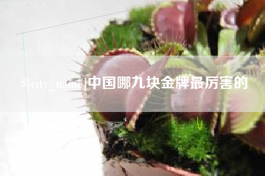 临海中国哪九块金牌最厉害的
