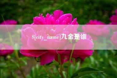 临海九金是谁