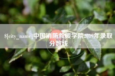 临海中国消防救援学院2019年录取分数线