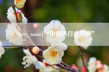 临海“中国执行公开网”