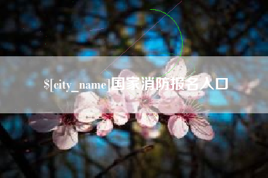 临海国家消防报名入口