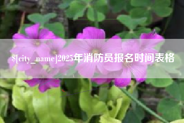 临海2025年消防员报名时间表格