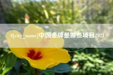 临海中国金牌是哪些项目2021