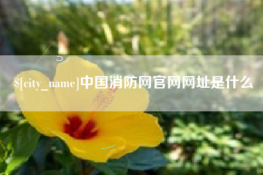 临海中国消防网官网网址是什么