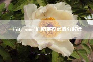 临海消防院校录取分数线