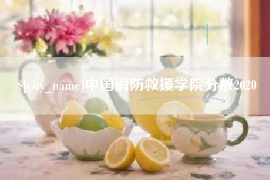 临海中国消防救援学院分数2020