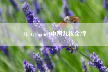 临海中国九枚金牌