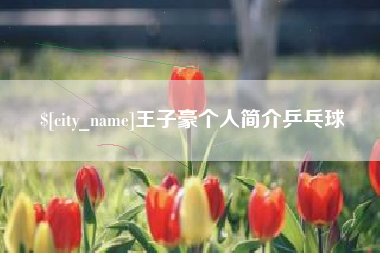 临海王子豪个人简介乒乓球
