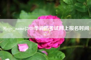 临海2020年消防考试网上报名时间