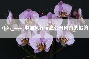 临海中国执行信息公开网真的假的
