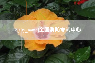 临海全国消防考试中心