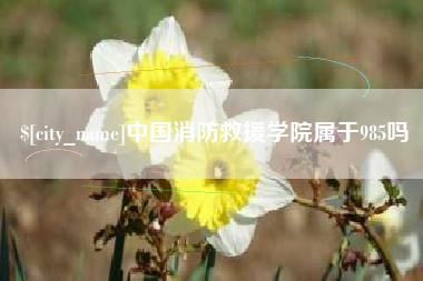 临海中国消防救援学院属于985吗