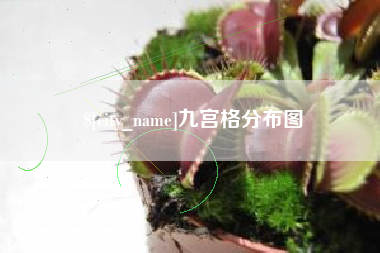 临海九宫格分布图
