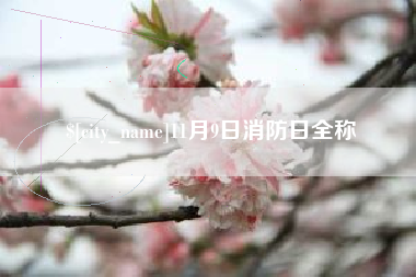 临海11月9日消防日全称