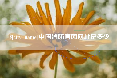 临海中国消防官网网址是多少