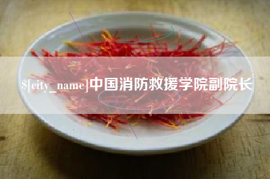 临海中国消防救援学院副院长