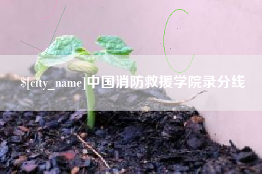 临海中国消防救援学院录分线