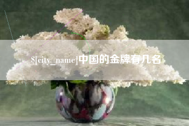 临海中国的金牌有几名