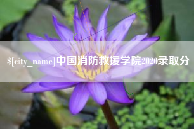 临海中国消防救援学院2020录取分