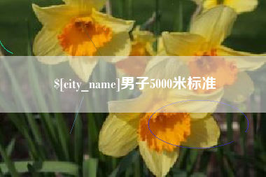 临海男子5000米标准