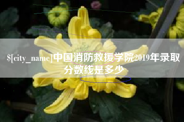 临海中国消防救援学院2019年录取分数线是多少