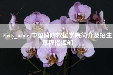 临海中国消防救援学院简介及招生章程指挥部