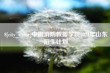 临海中国消防救援学院2021年山东招生计划