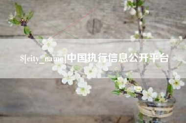临海中国执行信息公开平台