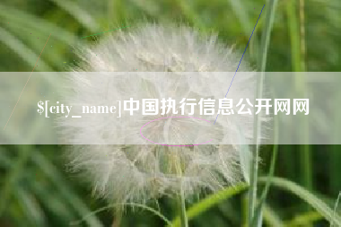 临海中国执行信息公开网网