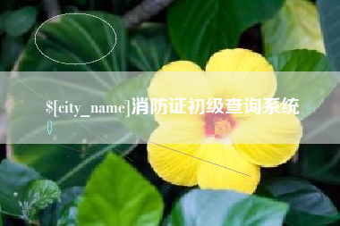 临海消防证初级查询系统
