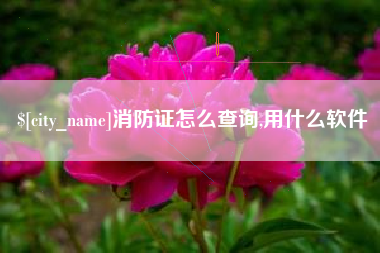 临海消防证怎么查询,用什么软件