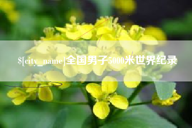 临海全国男子5000米世界纪录