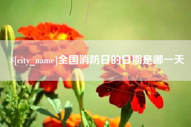 临海全国消防日的日期是哪一天