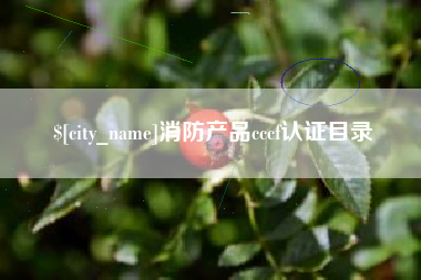 临海消防产品cccf认证目录