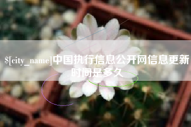 临海中国执行信息公开网信息更新时间是多久