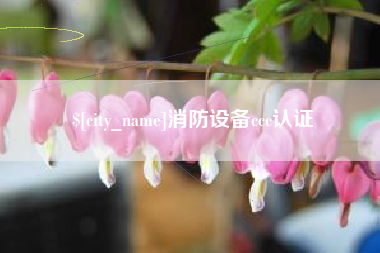 临海消防设备ccc认证